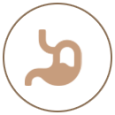 icongas2